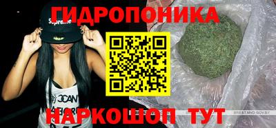 стафф Обнинск