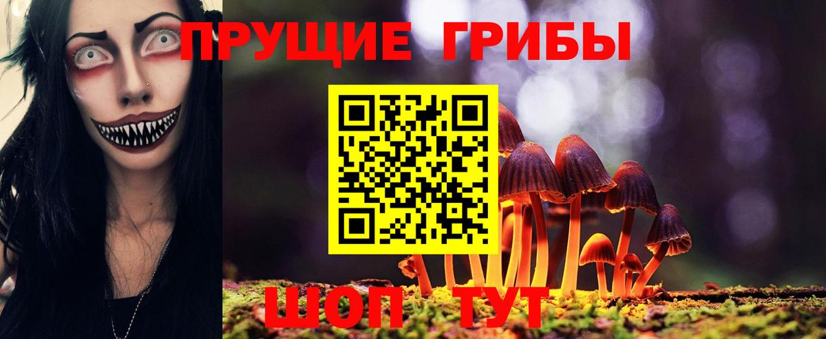 Псилоцибиновые грибы мицелий  Вход с VPN  Псилоцибиновые грибы мухоморы  Павлово 
