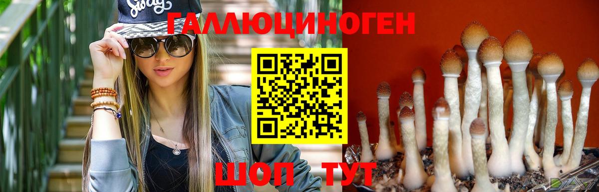 Псилоцибиновые грибы прущие грибы Павлово